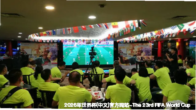 未来愿景与发展方向
